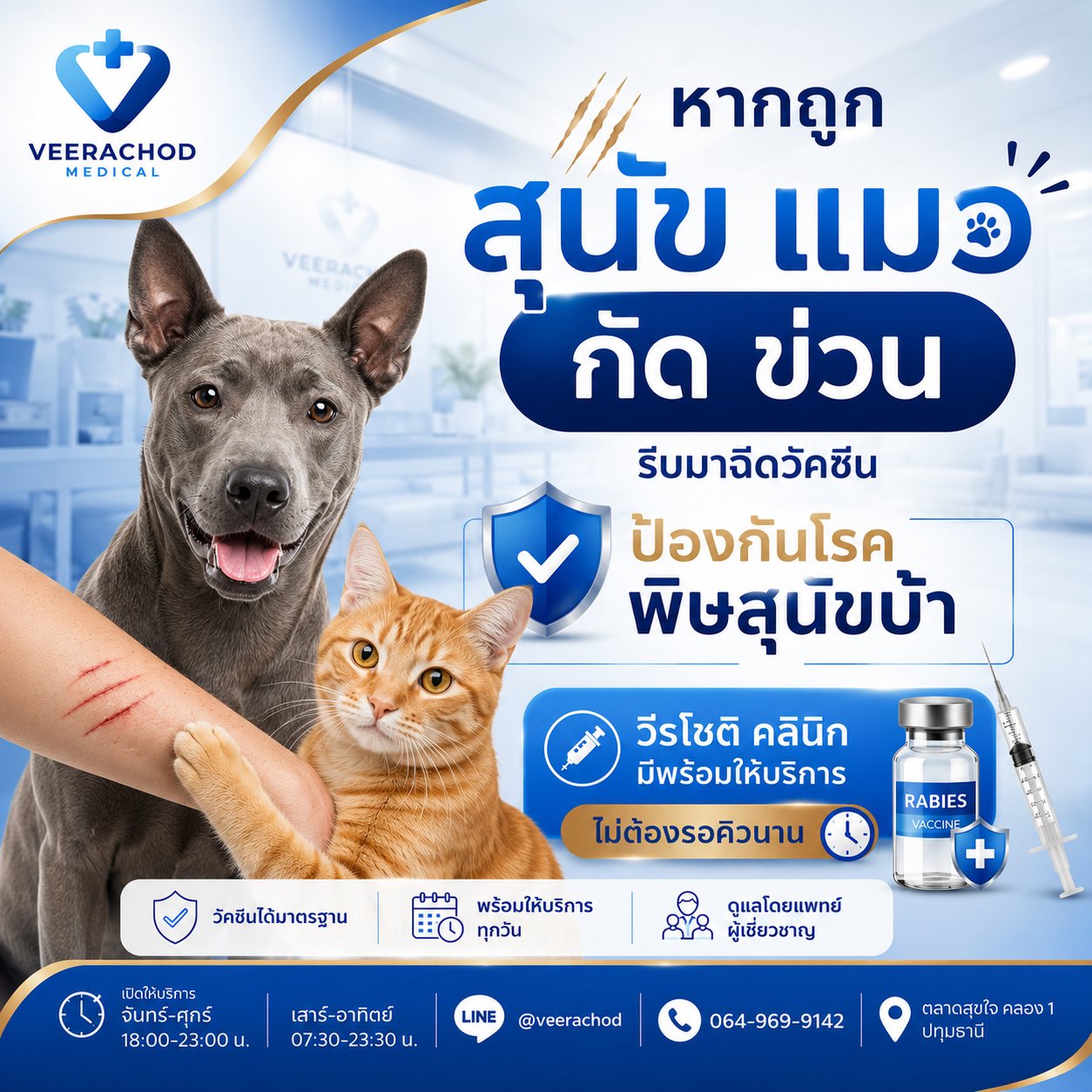 ฉีดวัคซีนป้องกันพิษสุนัขบ้า 700 บาท/ครั้ง — วีรโชติ คลินิกเวชกรรม